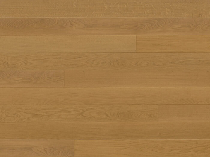 Engineered Hardwood Europa Collection - Rhine floor sample