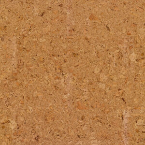 Cork Flooring Sample Wicander's Inspire Collection - Originals Shell